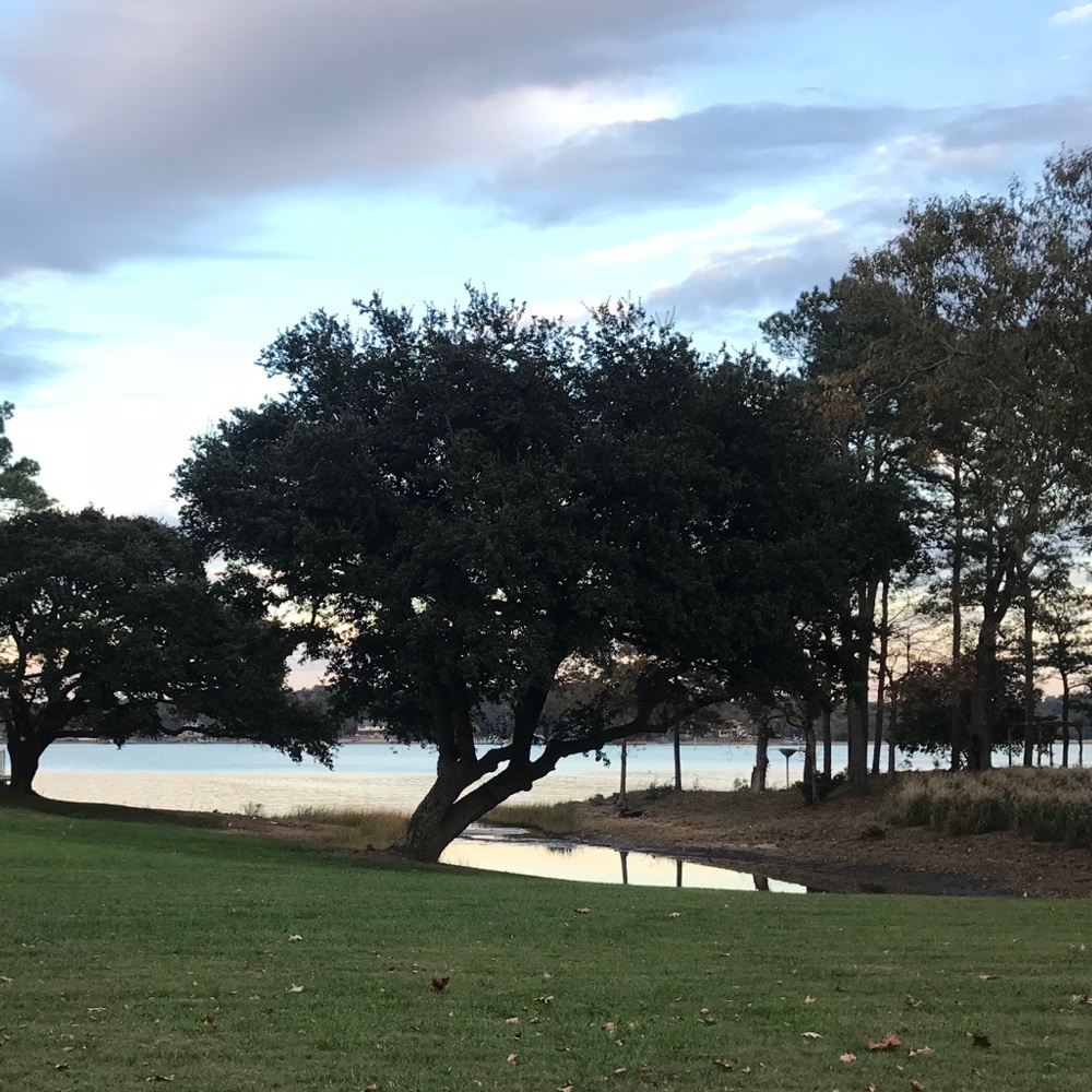 Meet your Posher, Dylan